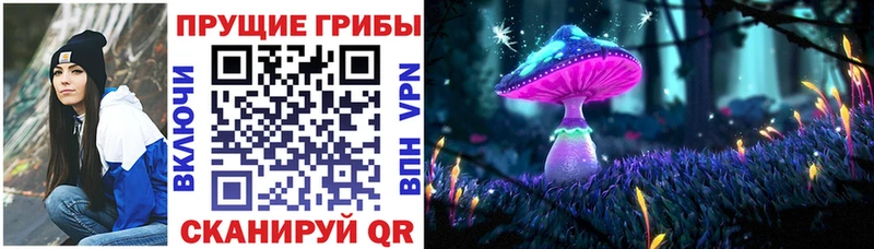 Галлюциногенные грибы Magic Shrooms Краснознаменск