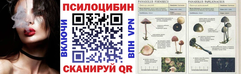 Галлюциногенные грибы прущие грибы  shop официальный сайт  Краснознаменск 